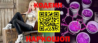 индика Новодвинск