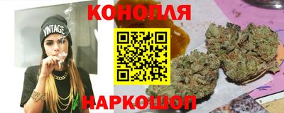 индика Новодвинск