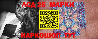 индика Новодвинск