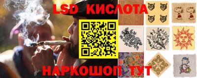 индика Новодвинск