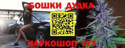 стафф Новокубанск