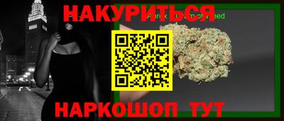 индика Новодвинск