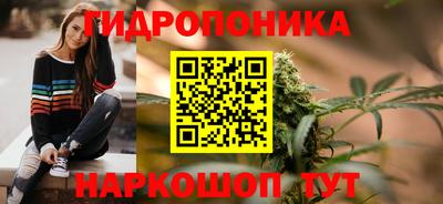 индика Новодвинск