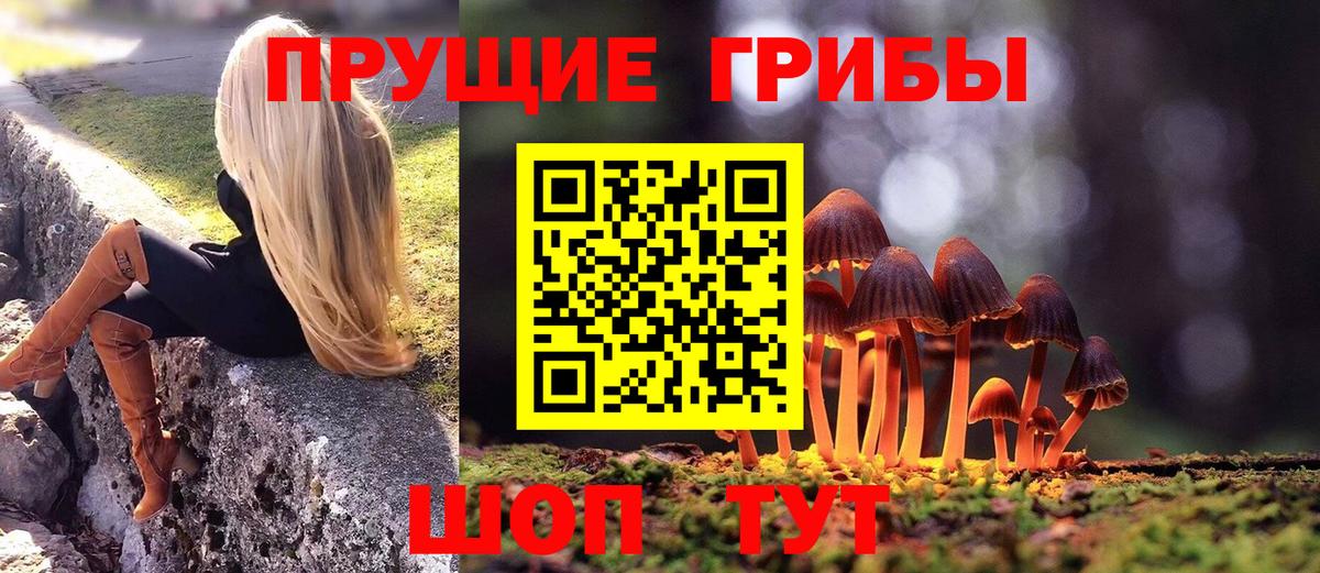 Удомля  Галлюциногенные грибы GOLDEN TEACHER  где можно купить наркотик  Вход с VPN 